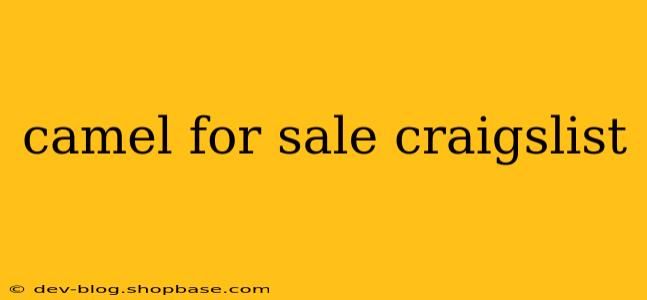 camel for sale craigslist