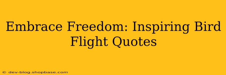Embrace Freedom: Inspiring Bird Flight Quotes