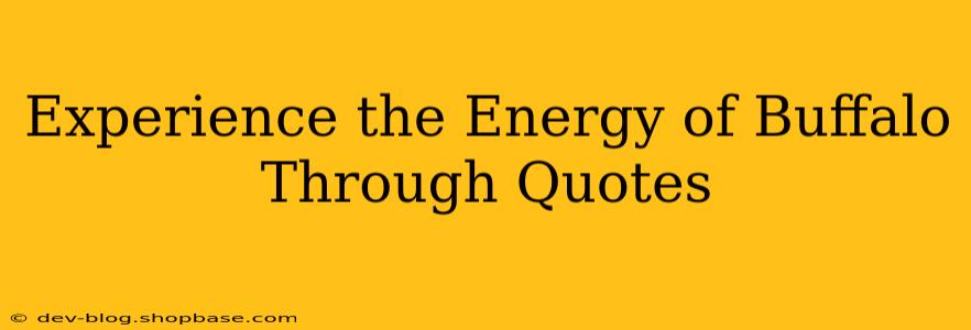 Experience the Energy of Buffalo Through Quotes