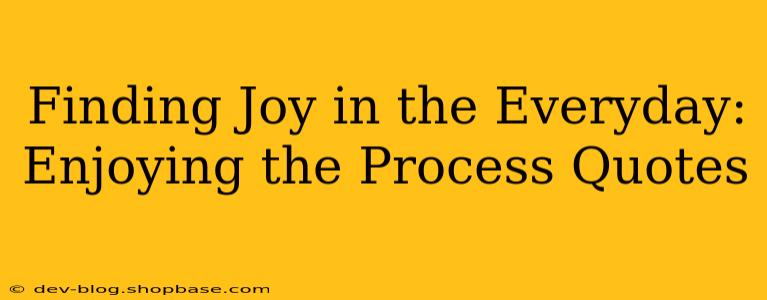 Finding Joy in the Everyday: Enjoying the Process Quotes