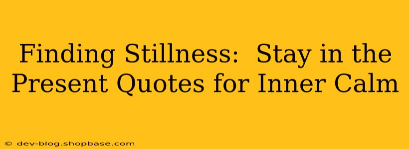 Finding Stillness:  Stay in the Present Quotes for Inner Calm