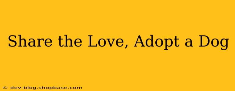 Share the Love, Adopt a Dog