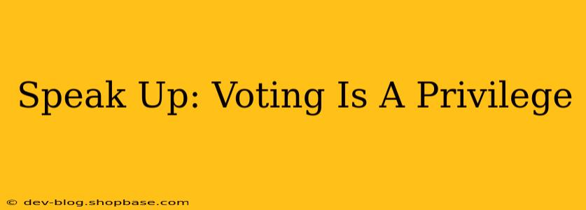 Speak Up: Voting Is A Privilege