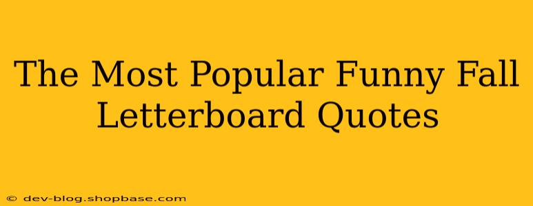 The Most Popular Funny Fall Letterboard Quotes