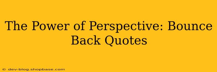 The Power of Perspective: Bounce Back Quotes