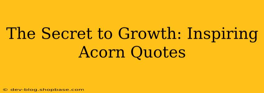 The Secret to Growth: Inspiring Acorn Quotes