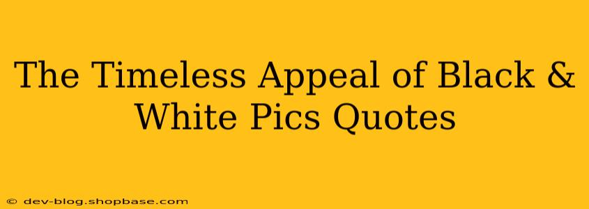 The Timeless Appeal of Black & White Pics Quotes