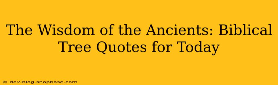 The Wisdom of the Ancients: Biblical Tree Quotes for Today