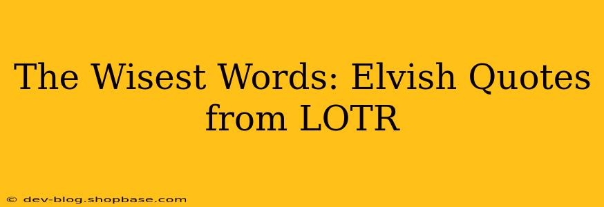 The Wisest Words: Elvish Quotes from LOTR